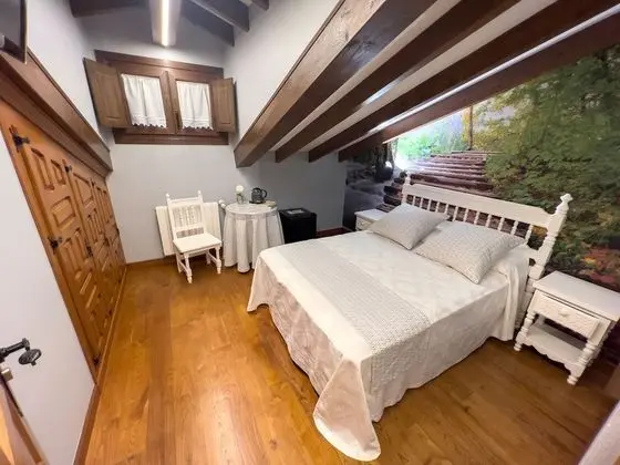 Economy Tek Büyük Yataklı Oda (Penthouse)