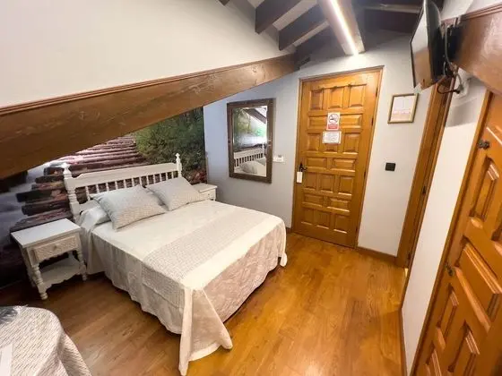 Economy Tek Büyük Yataklı Oda (Penthouse)
