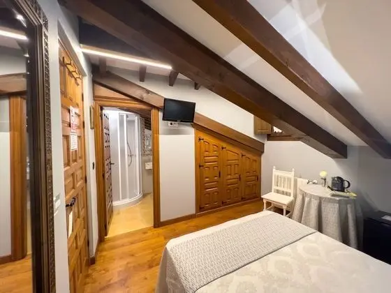 Economy Tek Büyük Yataklı Oda (Penthouse)