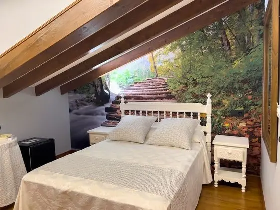 Economy Tek Büyük Yataklı Oda (Penthouse)
