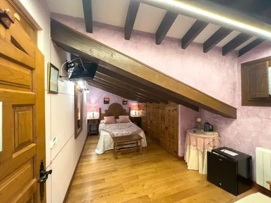 Tek Büyük Yataklı Oda (Penthouse)