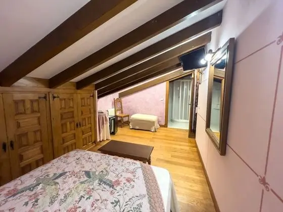 Tek Büyük Yataklı Oda (Penthouse)