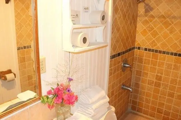 Standard Stüdyo, Küçük Mutfak, Bahçeli