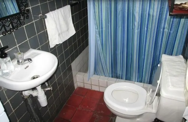 Standard Tek Büyük Yataklı Oda, Engellilere Uygun