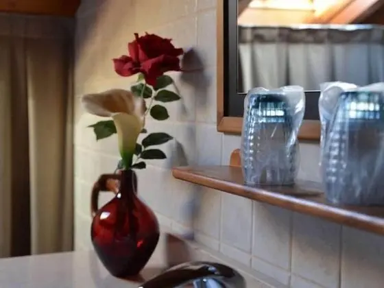 Tek Büyük veya İki Ayrı Yataklı Oda, Banyolu/Duşlu (h 3)