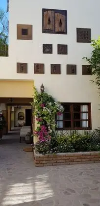 Junior Stüdyo Süit, 1 En Büyük (King) Boy Yatak
