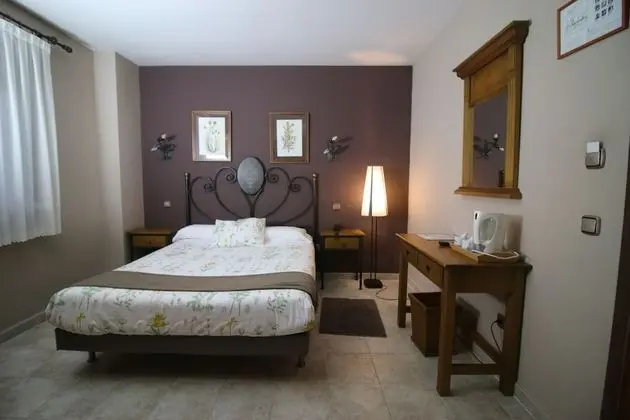 Traditional Tek Büyük Yataklı Oda, 1 Çift Kişilik Yatak, Özel Banyo