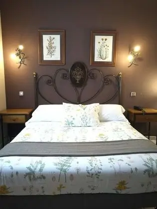 Traditional Tek Büyük Yataklı Oda, 1 Çift Kişilik Yatak, Özel Banyo