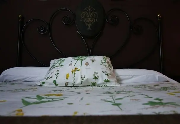 Traditional Tek Büyük Yataklı Oda, 1 Çift Kişilik Yatak, Özel Banyo