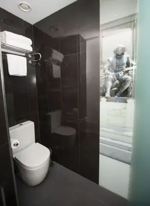 Superior Tek Büyük veya İki Ayrı Yataklı Oda, Balkon