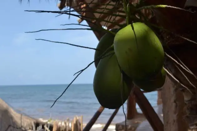 Room with Partial Ocean View two double beds (TWIN)