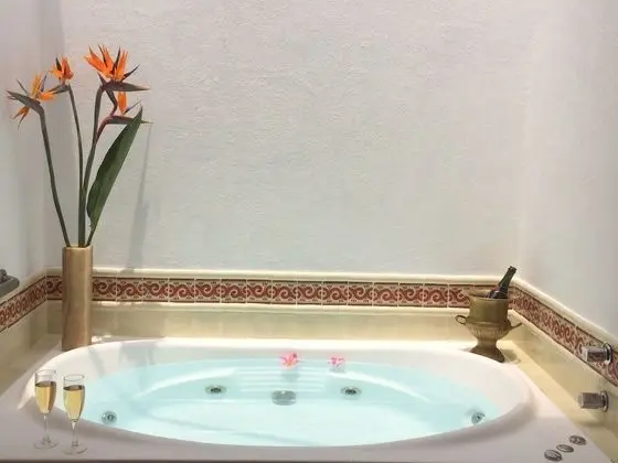 Süit