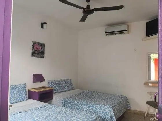 Standard Oda, 2 Çift Kişilik Yatak, Bahçe Manzaralı (A/C)