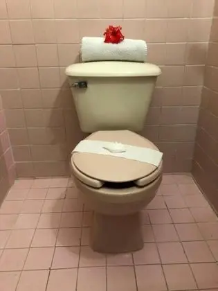 Standard Oda, 2 Çift Kişilik Yatak, Bahçe Manzaralı (Fan)
