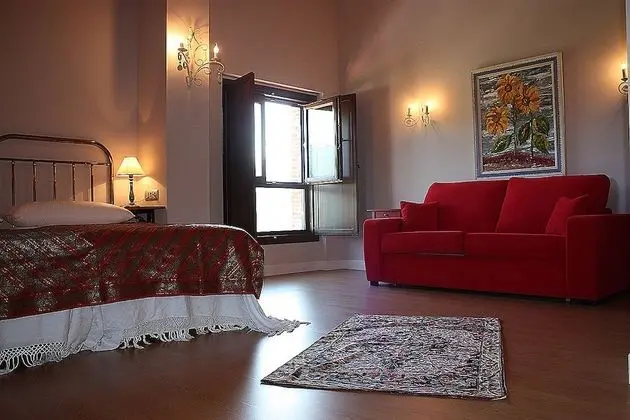 Standard Tek Büyük Yataklı Oda, 1 Çift Kişilik Yatak ve Çekyat