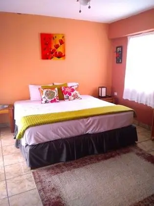Deluxe Tek Büyük Yataklı Oda, 1 En Büyük (King) Boy Yatak, Sigara İçilmez