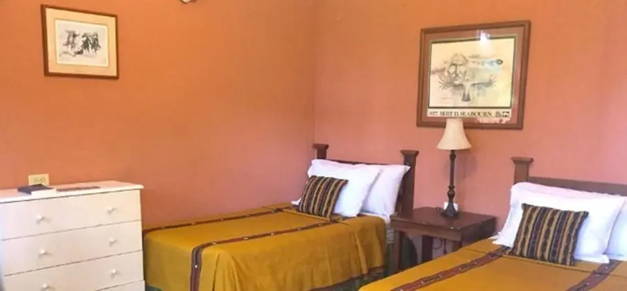 Standard İki Ayrı Yataklı Oda, 2 Tek Kişilik Yatak, Sigara İçilmez
