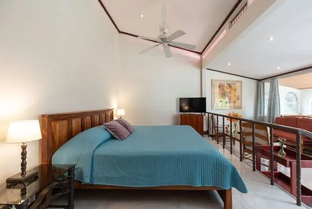 Deluxe Tek Büyük Yataklı Oda, Şehir Manzaralı