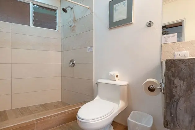Deluxe Tek Büyük Yataklı Oda, Şehir Manzaralı