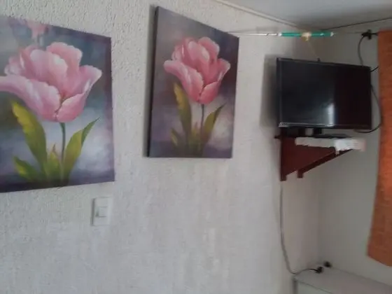 Oda, 1 Yatak Odası, Sigara İçilebilir, Balkon