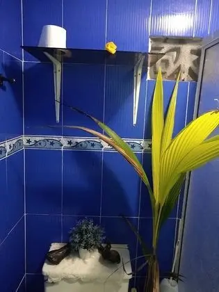 Oda, 1 Yatak Odası, Balkon
