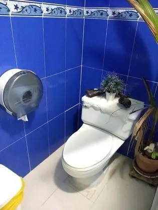 Oda, 1 Yatak Odası, Balkon