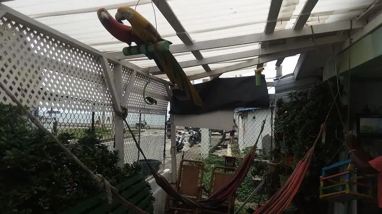 Oda, 1 Yatak Odası, Balkon