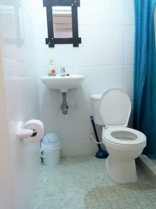 Standard Tek Büyük Yataklı Oda, Birden Çok Yatak, Sigara İçilmez