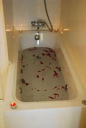 Tek Büyük Yataklı Oda (Blanca)