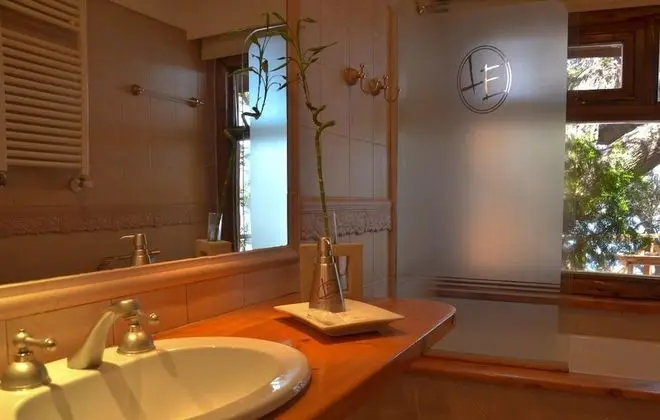 Standard Tek Büyük Yataklı Oda, 1 En Büyük (King) Boy Yatak, Sigara İçilmez, Özel Banyo