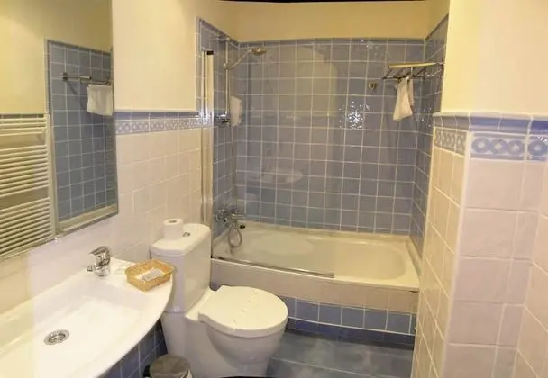 Basic Tek Büyük veya İki Ayrı Yataklı Oda, Banyolu/Duşlu