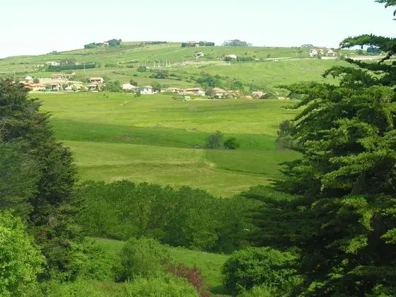 Standard Tek Büyük veya İki Ayrı Yataklı Oda (B3)