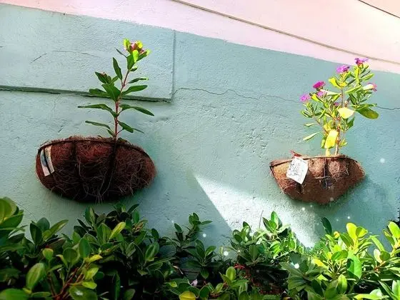 Ortak Ranzalı Oda, 3 Yatak Odası, Engellilere Uygun, Sigara İçilebilir