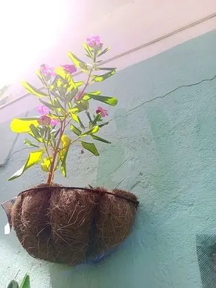 Ortak Ranzalı Oda, 3 Yatak Odası, Engellilere Uygun, Sigara İçilebilir