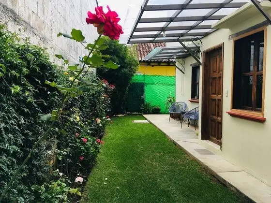 Basic Oda, 1 Çift Kişilik Yatak, Sigara İçilmez, Bahçe Manzaralı
