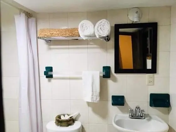 Basic Oda, 1 Çift Kişilik Yatak, Sigara İçilmez, Bahçe Manzaralı