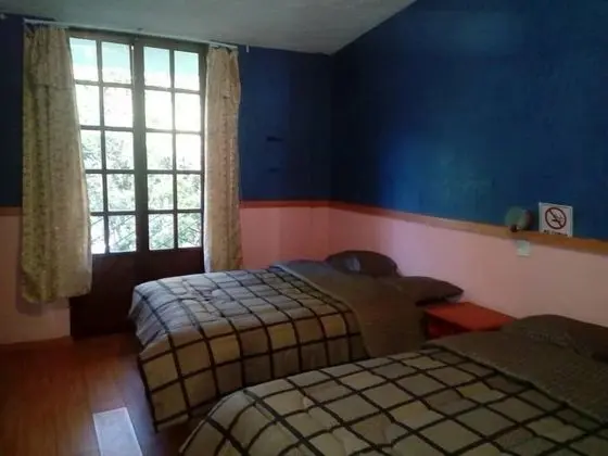Tek Büyük Yataklı Oda, 2 Çift Kişilik Yatak, Balkon