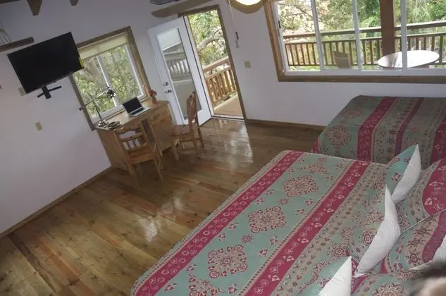 Deluxe Stüdyo, Küçük Mutfak, Okyanusa Sıfır