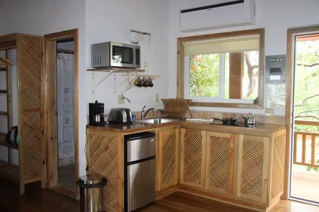 Deluxe Stüdyo, Küçük Mutfak, Okyanusa Sıfır
