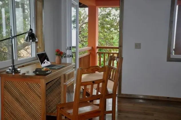 Deluxe Stüdyo, Küçük Mutfak, Okyanusa Sıfır