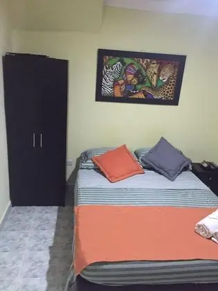 Standard Tek Büyük Yataklı Oda, 1 Çift Kişilik Yatak, Özel Banyo