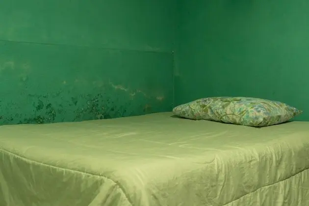 Tek Büyük Yataklı Oda