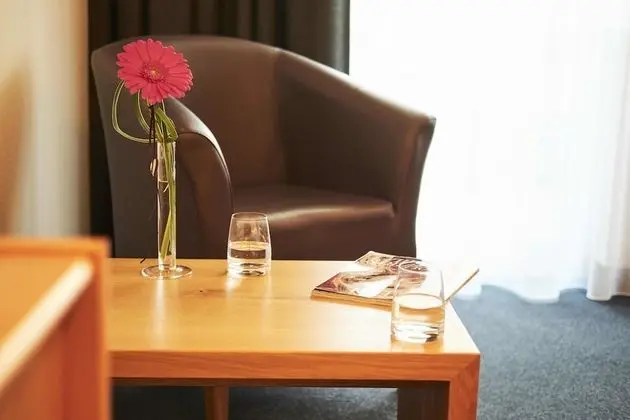 Tek Büyük Yataklı Oda, Balkon, Dağ Manzaralı