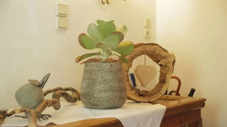 Tek Kişilik Oda, Balkon, Dağ Manzaralı (Burgschrofen)