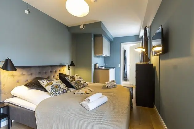 Deluxe Tek Büyük Yataklı Oda, Küçük Mutfak, Şehir Manzaralı