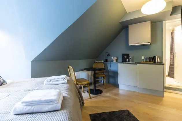 Deluxe Tek Büyük Yataklı Oda, Küçük Mutfak, Şehir Manzaralı