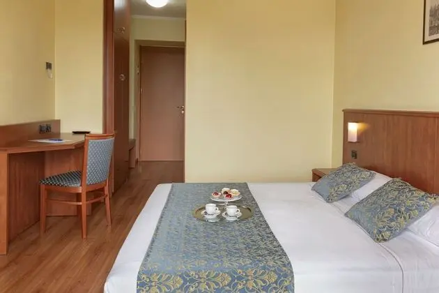 Tek Büyük Yataklı Oda, Balkon, Avlu