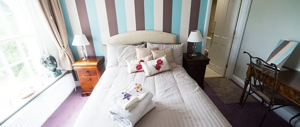 Deluxe Tek Büyük veya İki Ayrı Yataklı Oda