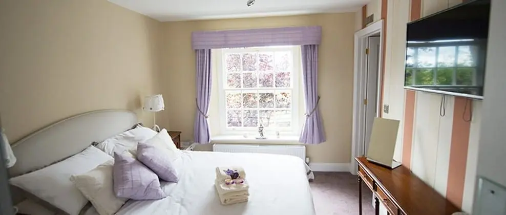 Deluxe Tek Büyük veya İki Ayrı Yataklı Oda