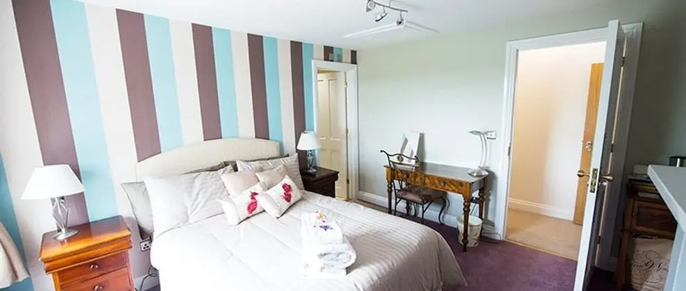 Deluxe Tek Büyük veya İki Ayrı Yataklı Oda